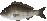 `k